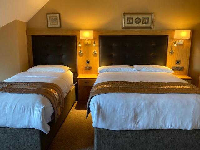 Tailors Lodge, Continental Breakfast Castleisland Bagian luar foto